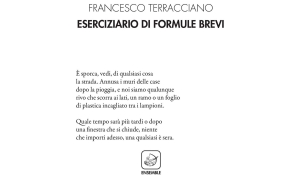 Francesco Terracciano - Eserciziario di formule brevi